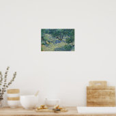 Poster Vincent van Gogh - Olive Orchard (Cuisine)