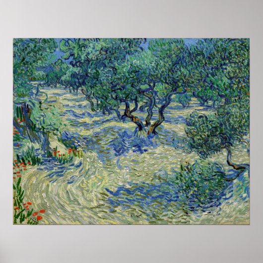Poster Vincent van Gogh - Olive Orchard (Devant)