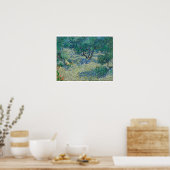 Poster Vincent Van Gogh - Olive Orchard (Cuisine)