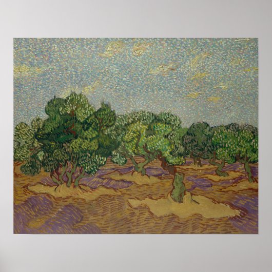 Poster Vincent van Gogh - Olive Trees (Devant)