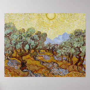 Poster Vincent van Gogh - Olive Trees