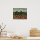 Poster Vincent van Gogh - Oliveraie (Cuisine)
