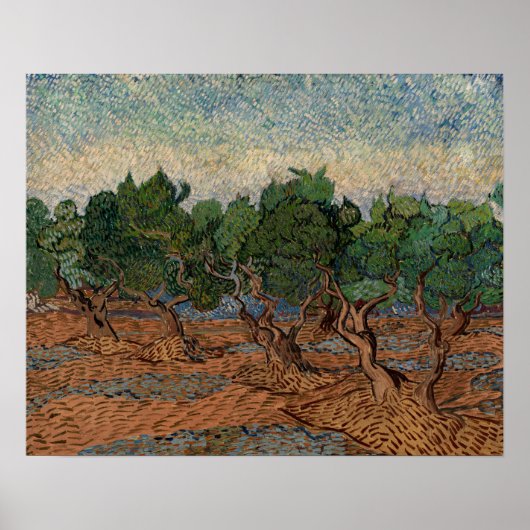 Poster Vincent van Gogh - Oliveraie (Devant)