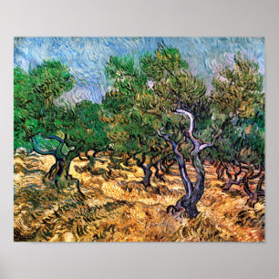 Poster Vincent Van Gogh - Oliveraie Beaux-Arts