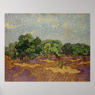 Poster Vincent van Gogh - Oliviers