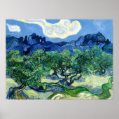 Poster Vincent Van Gogh, Oliviers aux Alpilles (Devant)