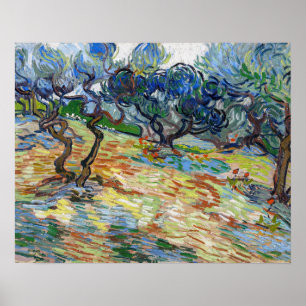 Poster Vincent van Gogh - Oliviers : Ciel bleu brillant