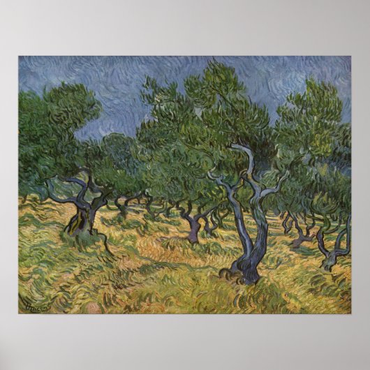 Poster Vincent van Gogh Paysage - 1889 (Devant)