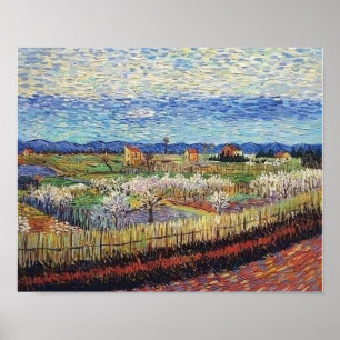 Poster Vincent Van Gogh - Pêchers en fleurs Beaux-arts