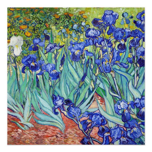 Poster Vincent Van Gogh peignant les Iris (Devant)