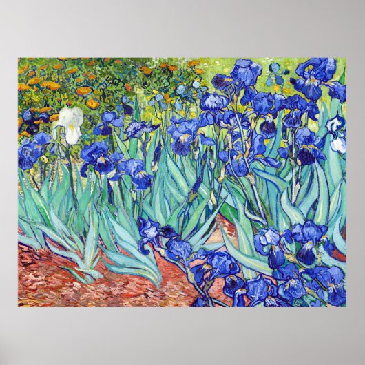 Poster Vincent Van Gogh peignant les Iris (Devant)