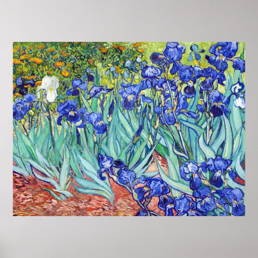 Poster Vincent Van Gogh peignant les Iris (Devant)