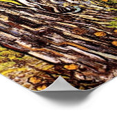 Poster Vincent Van Gogh - Pins Et Dandelions (Coin)