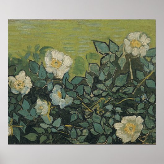 Poster Vincent Van Gogh - roses sauvages Avril, Mai (Devant)