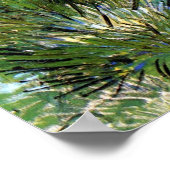 Poster Vincent Van Gogh - Touffes d'Herbe Beaux-Arts (Coin)