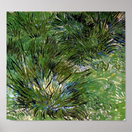 Poster Vincent Van Gogh - Touffes d'Herbe Beaux-Arts (Devant)
