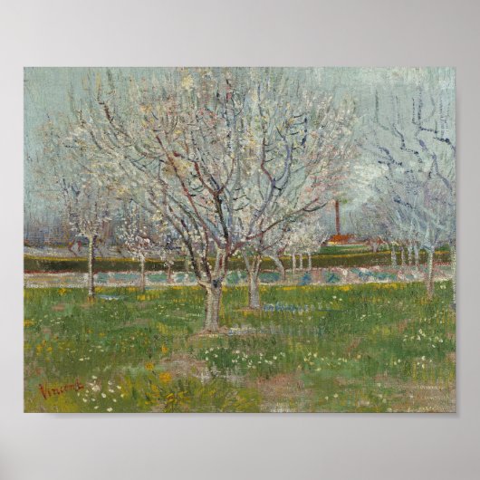 Poster Vincent van Gogh - Verger en fleurs  (Devant)
