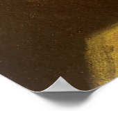 Poster Vincent van Gogh - Vie morte avec perroquet vert (Coin)