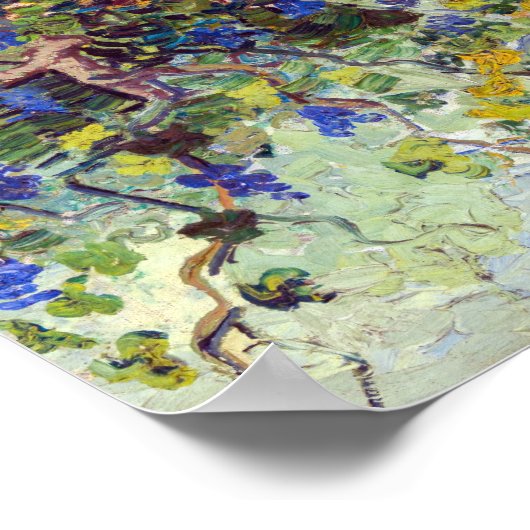 Poster Vincent van Gogh - Vignoble vert (Coin)