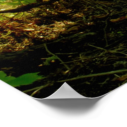 Poster Vineyard (Coin)