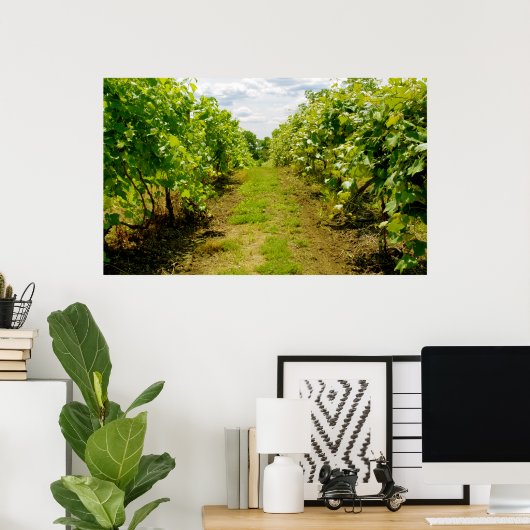 Poster Vineyard (Bureau à domicile)