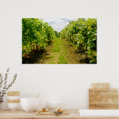 Poster Vineyard (Cuisine)