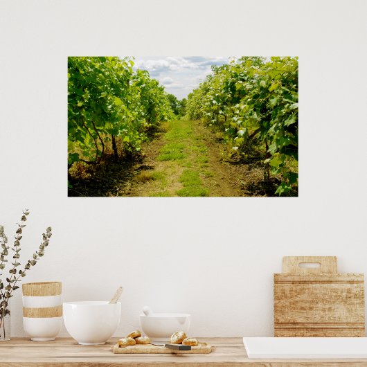 Poster Vineyard (Cuisine)