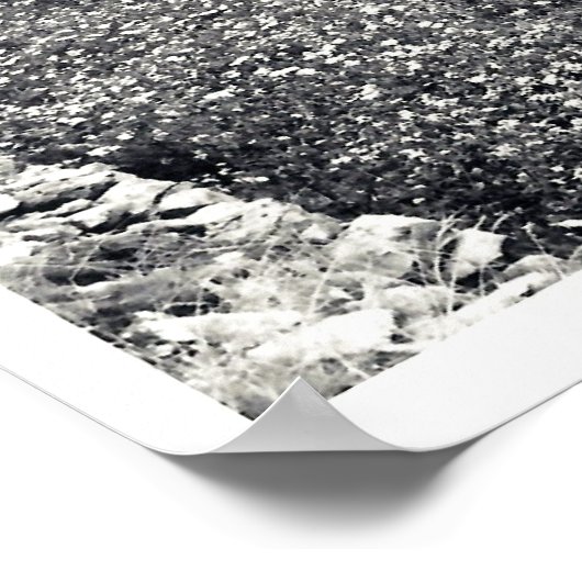 POSTER VINEYARD (Coin)