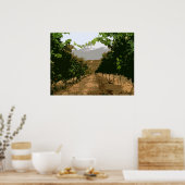 POSTER VINEYARD 3 (Cuisine)