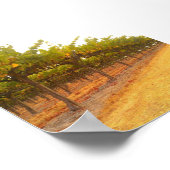 Poster Vins alignés (Coin)