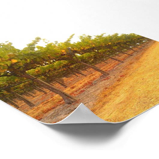 Poster Vins alignés (Coin)