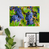 Poster Vins de raisins noirs, Vignoble (Bureau à domicile)