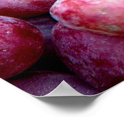 Poster Vins rouges (Coin)