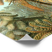 Poster vintage (Coin)