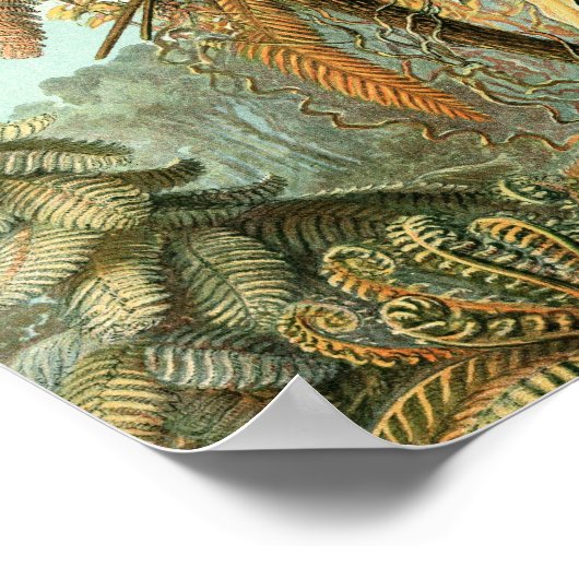 Poster vintage (Coin)