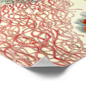 Poster vintage (Coin)