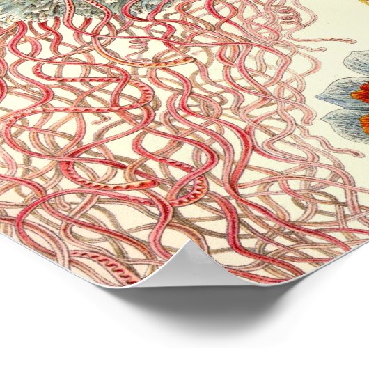 Poster vintage (Coin)