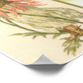 Poster vintage (Coin)