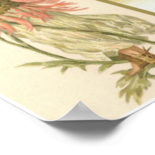 Poster vintage (Coin)