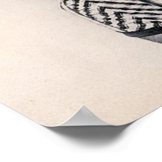 Poster Vintage (Coin)