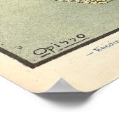 Poster vintage (Coin)