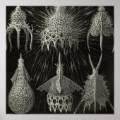 Poster vintage (Devant)