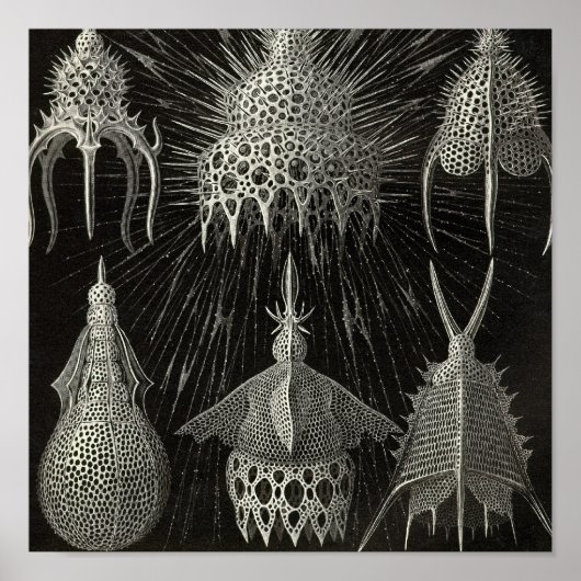 Poster vintage (Devant)