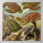 Poster vintage (Devant)