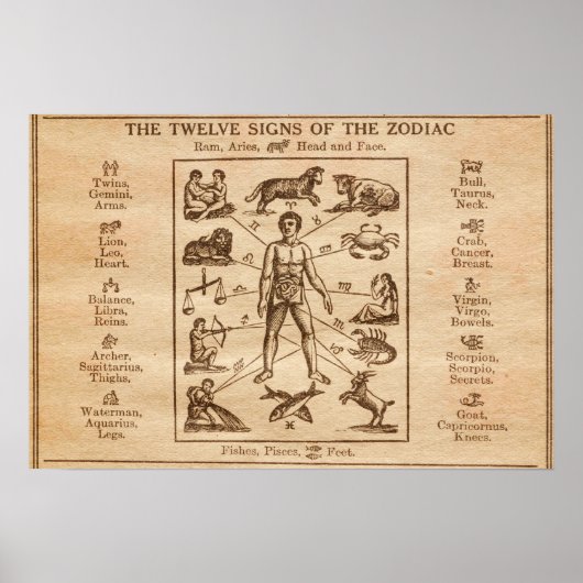 Poster Vintage 12 signes du Zodiaque (Devant)