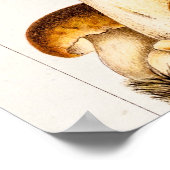 Poster Vintage 1800 s Mushroom Variety (Coin)