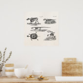 Poster Vintage 1800s Animal Skeletons Antique Anatomie (Cuisine)