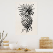 Poster Vintage 1800s Pineapple Illustration Pineapples (Cuisine)