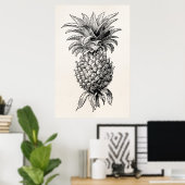 Poster Vintage 1800s Pineapple Illustration Pineapples (Bureau à domicile)