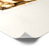 Poster Vintage 1800s Variété de champignons Modèle (Coin)